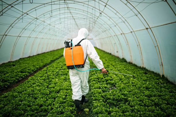 Best Affordable Pest Control Services  in Pleasant Grove, UT