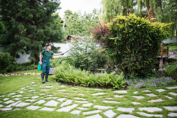 Best Mosquito Control Services  in Pleasant Grove, UT