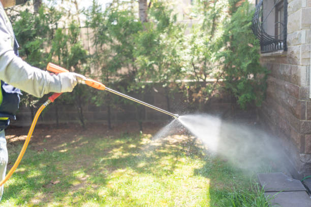 Professional Pest Control in Pleasant Grove, UT