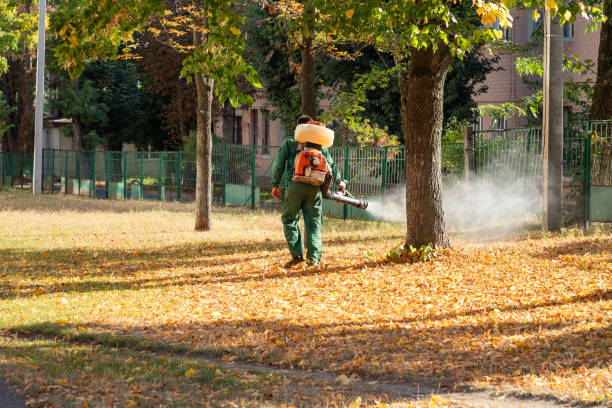 Best Pest Removal Services  in Pleasant Grove, UT