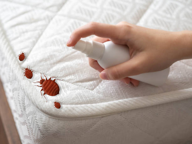 Best Pest Prevention Services  in Pleasant Grove, UT