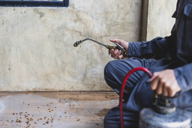 Best Commercial Pest Control Services  in Pleasant Grove, UT